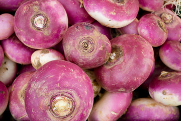 turnips, purple and white, local fruit vegetable market, agriculture, food, diet, vitamins, background, Milan, Italy
