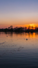 Fototapeta premium Smartphone HD wallpaper of beautiful sunset with swans and reflections near Plattling - Bavaria - Germany