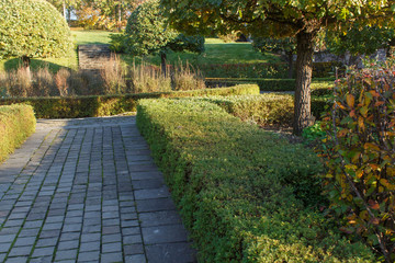 Park with green lawn, trees trimmed bushes and natural stone path.