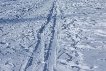 ski track and traces on snow