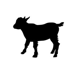 Goat kid silhouette