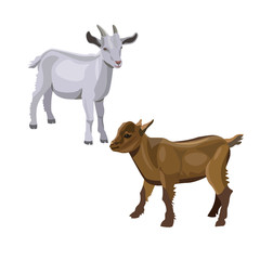 Two goatlings vector