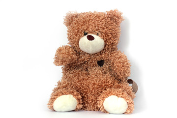 Bear on a white background. Backpack