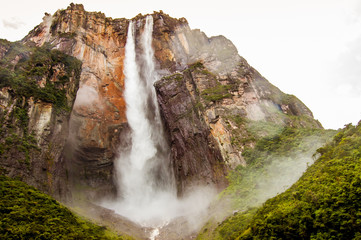 view from below forest of angel falls in venezuela in canaima park, giving a sense of discovery and...