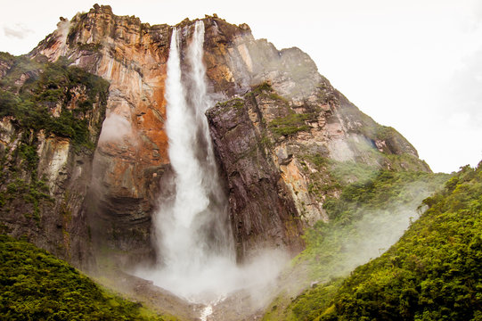 view from below forest of angel falls in venezuela in canaima park, giving a sense of discovery and awe