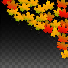 September Vector Background with Golden Falling Leaves. Autumn Illustration with Maple Red, Orange, Yellow Foliage. Isolated Leaf on Transparent Background. Bright Swirl. Suitable for Posters.