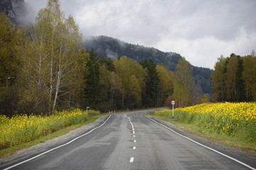 Fototapeta na wymiar Alpine road