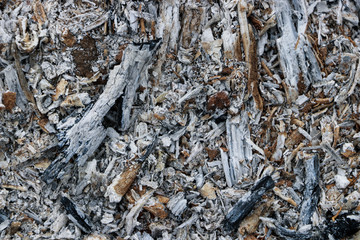 Ash texture from the fire.