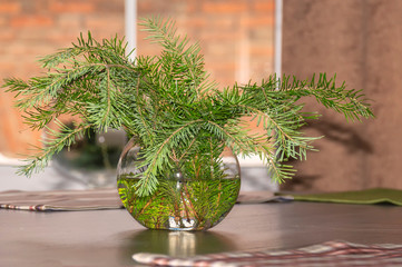 green spruce branches, on a table in a vase, against the background of a window