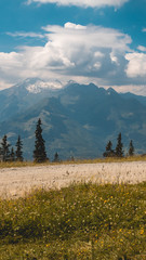 Fototapeta premium Smartphone HD wallpaper of beautiful alpine view at Zell am See - Zeller See - Salzburg - Austria