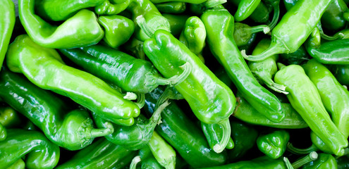 green peppers or Padr˜n Pepper, sweet, at local farmer market of vegetables, used as a spice or grilled, agriculture, cultivation, food, texture, vitamins, nourishment, nutrition, Milan, Italy