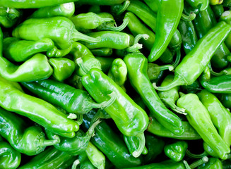 green peppers or Padr˜n Pepper, sweet, at local farmer market of vegetables, used as a spice or grilled, agriculture, cultivation, food, texture, vitamins, nourishment, nutrition, Milan, Italy