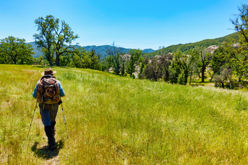 Hiker Hiking in Field