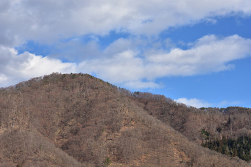 松枯れした山　安曇野市