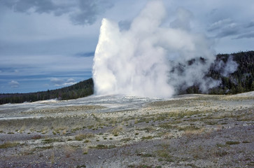 Old Faithful