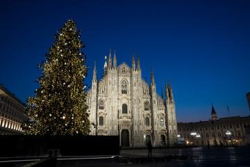 Fototapeta na wymiar Milan (Italy) in winter: Christmas tree in front of Milan cathedral, Duomo square in december, night view.