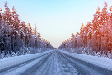 Fototapeta na wymiar Direct road along the winter forest