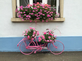 Fototapeta na wymiar Cosy vintage pink bike with flowers