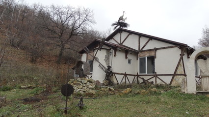old house in the forest