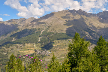 Scenic view of mountain peaks in summer with an alpine village, forest and pink flowers in the foreground, Cogne, Aosta Valley, Alps, Italy 