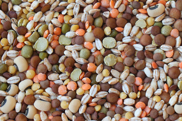 Organic pulses mix background