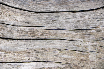 Curved cracks on a wooden surface. Close-up.
