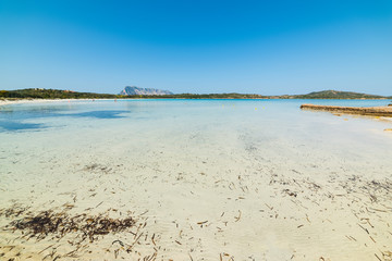 Tavolara and Berchida beach