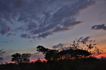 African Sunset