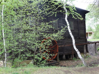 old house in the garden