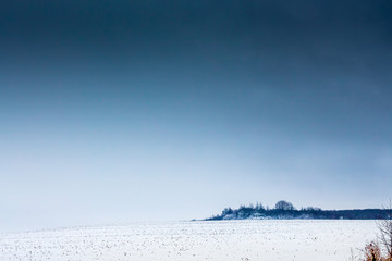 Winter landscape: the field and high dark blue sky, spacious. Free space for text