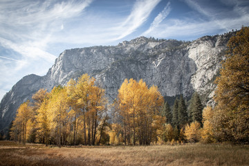 Fototapeta premium yosemite national park