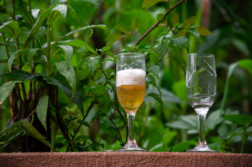 taça bebida quebrada