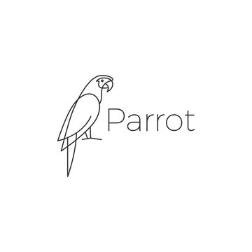 parrot logo bird vector illustration icon
