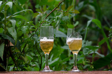 taça bebida quebrada