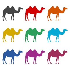 Camel icon silhouette logo, color set