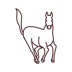 horse animal isolated icon