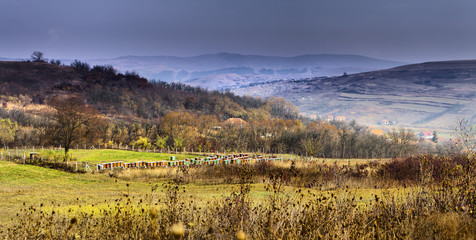Naklejka premium Peaceful scene in foggy dusk about a valley with a small village Sic, Romania