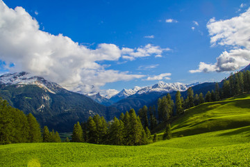 Mountain meadow in summer in Graub&uuml;nden Switzerland with a wide view of the valley