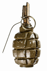 F1 grenade on a white background