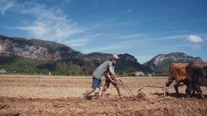 Blond plough downloadgvideos blog