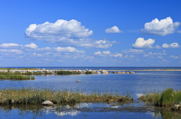 Baltic Sea seashore landscape behind Pärnu.
