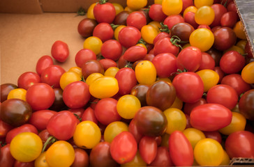 Assortment of different organics cherry tomatoes sold at Ljubljana central market. Slovenia