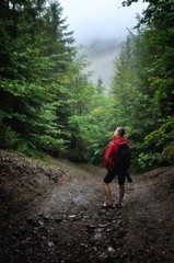 Obraz premium Путник в лесу