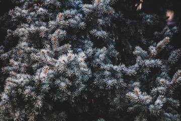 natura astratto
