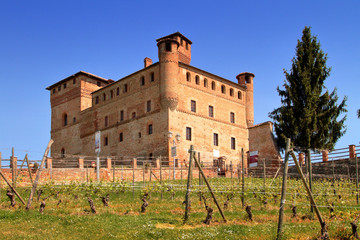 CASTELLO DI GRINZANE CAVOUR IN PIEEMONTE, ITALIA, EUROPA