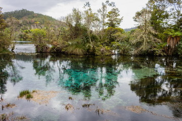 Fototapeta na wymiar Landscape image of the waters of Waikoropupu Springs, New Zealand