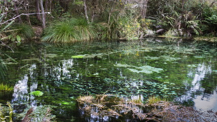 Fototapeta na wymiar Landscape image of the waters of Waikoropupu Springs, New Zealand