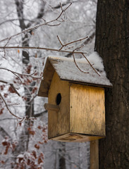 Birdhouse empty in a cold winter forest