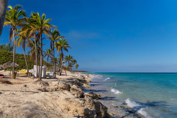 Palm trees on a rocky beach. Cuba, the Caribbean