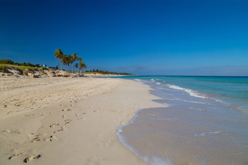 Fototapeta na wymiar Tropical paradise beach with white sand and palm trees